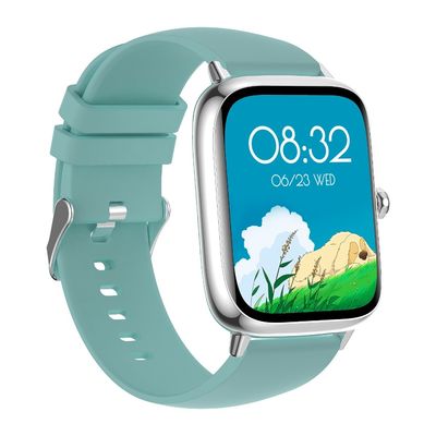 Καλή τιμή. Πολυδιάστατο σχήμα Smart Watch με οθόνη 1,75 ιντσών μνήμη 512KB και διπλή έκδοση Bluetooth σε απευθείας σύνδεση